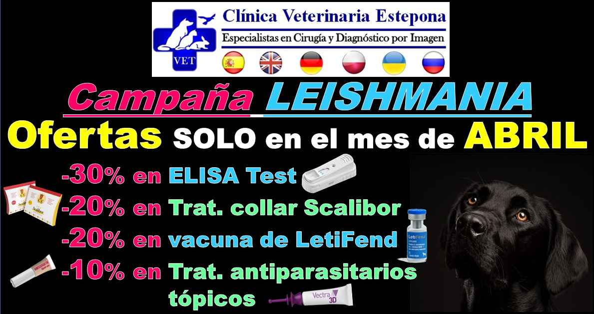 Image Title My Image