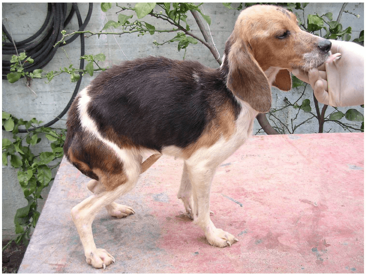 Image Title My Image