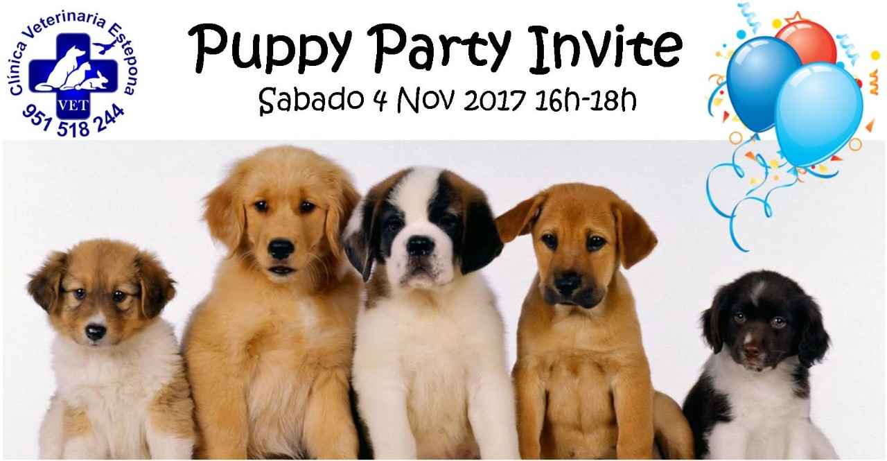 Image Title My Image