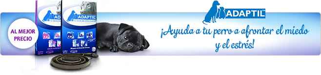 Image Title My Image