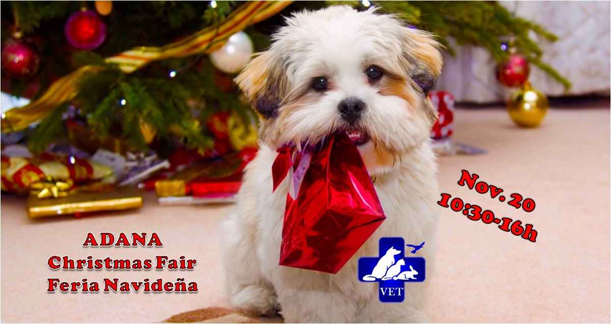 Image Title My Image