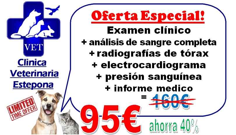 Image Title My Image