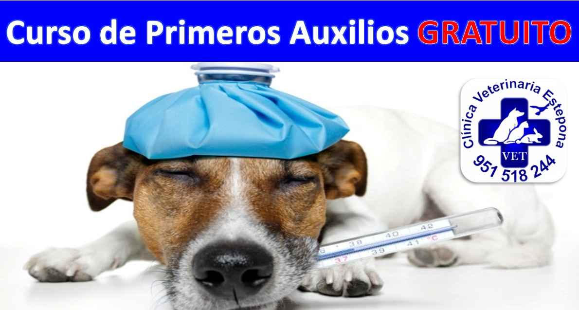 Image Title My Image